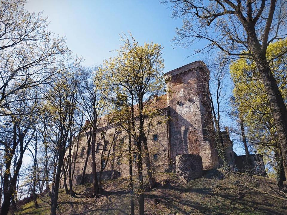Zamek Otmuchów Exterior foto